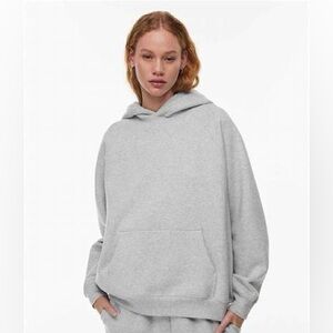 Aritizia Sweatfleece Cozy Fleece Mega Fit Raglan Hoodie in Heather Chrome